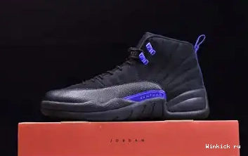 AIR 12 JORDAN “DARK CONCORD” 0610